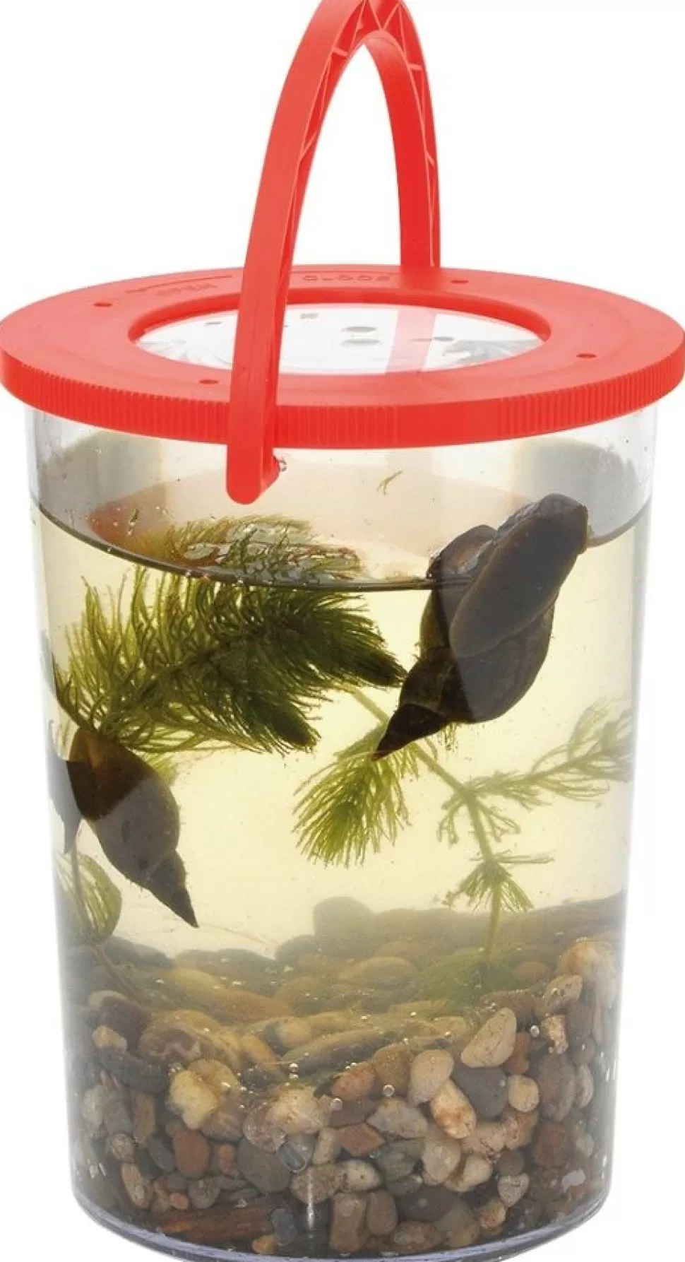 * Strand- & Sandlegetøj<Forstorrelsesglas Med Handtag, O 9,5 Cm.