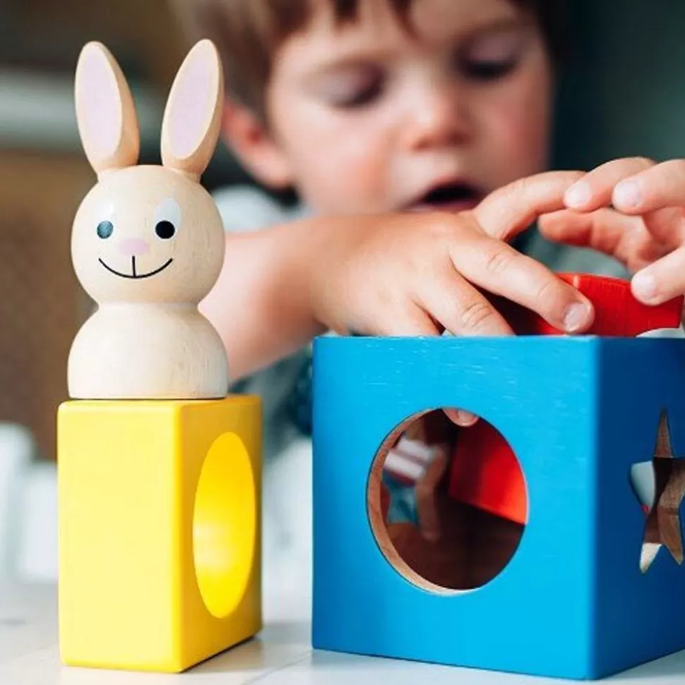 * Spil<Logikspil Til De Mindste - Bunny Boo